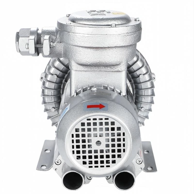 Low Noise Industrial Ex Proof Ring Blower best